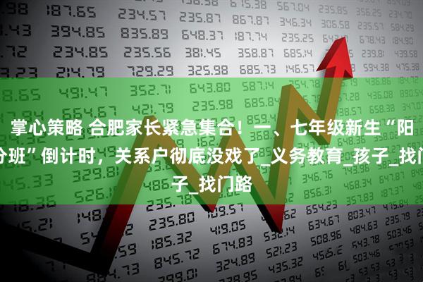掌心策略 合肥家长紧急集合！一、七年级新生“阳光分班”倒计时，关系户彻底没戏了_义务教育_孩子_找门路